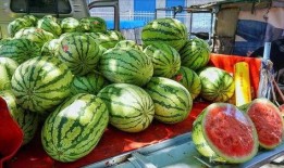 荷兰网红吃瓜事件真相揭秘,揭秘背后真相与争议